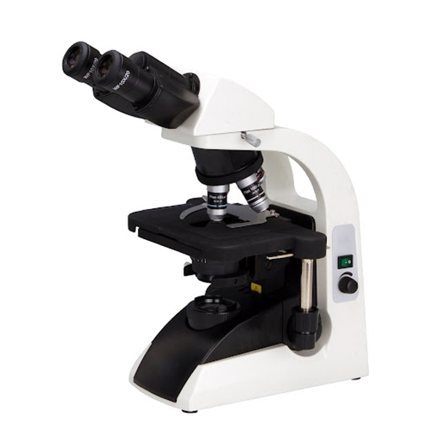 Optical Microscope